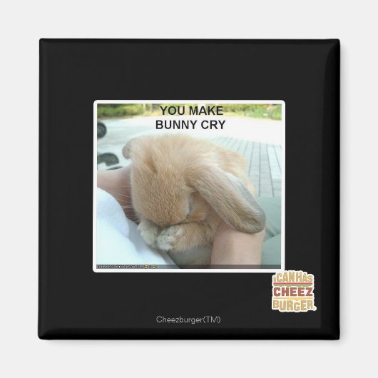 Aimant Tu fais pleurer le lapin (Devant)