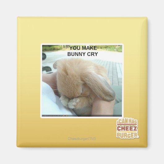 Aimant Tu fais pleurer le lapin (Devant)