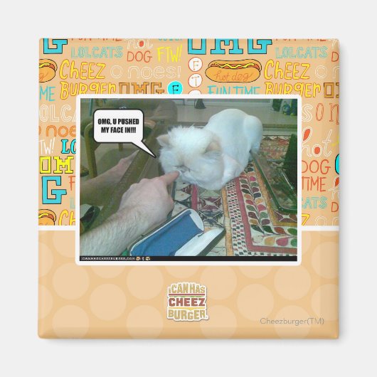 Aimant Tu m'as fait entrer le visage ! (Devant)