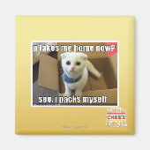 Aimant Tu me ramènes maintenant ? (Devant)