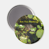 Aimant Tu Peines ? (Recto/Verso)