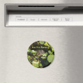 Aimant Tu Peines ? (In Situ (Lave-vaisselle))