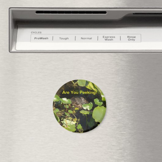 Aimant Tu Peines ? (In Situ (Lave-vaisselle))