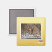 Aimant Tu peux faire le lit plus tard. (Recto/Verso)