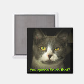 Aimant Tu vas finir ça ? Kitty affamé (Recto/Verso)