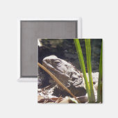 Aimant Tuatara (Recto/Verso)