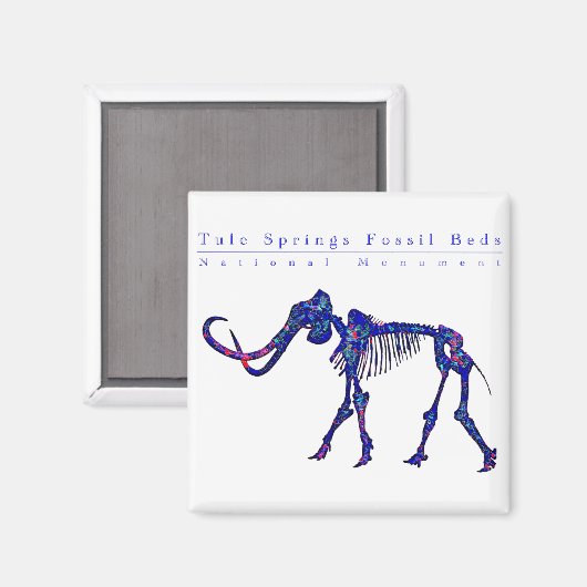 Aimant Tule sources fossiles lits monument national (Recto/Verso)