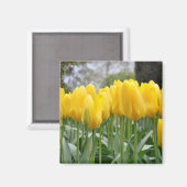 Aimant Tulières à ressort jaune (Recto/Verso)