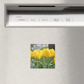 Aimant Tulières à ressort jaune (In Situ (Lave-vaisselle))