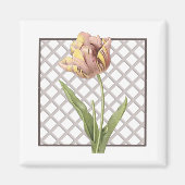 AIMANT TULIP (Devant)