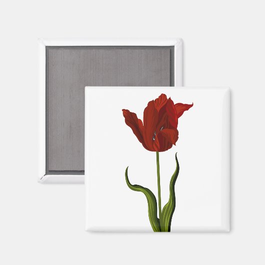Aimant Tulip (Recto/Verso)