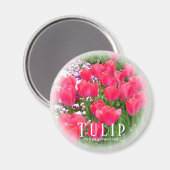 Aimant Tulip (Recto/Verso)