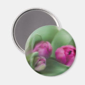Aimant Tulip Bouquet (Recto/Verso)