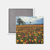 Aimant Tulip Farm (Recto/Verso)