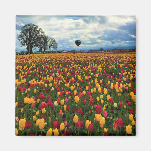 Aimant Tulip Farm