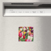 Aimant Tulip Fleurs de printemps Jardin Floral Jaune rose (In Situ (Lave-vaisselle))