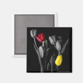 Aimant Tulip-Magnet (Recto/Verso)
