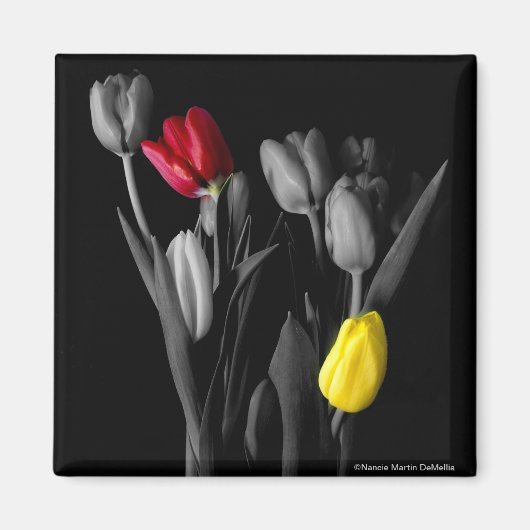 Aimant Tulip-Magnet (Devant)