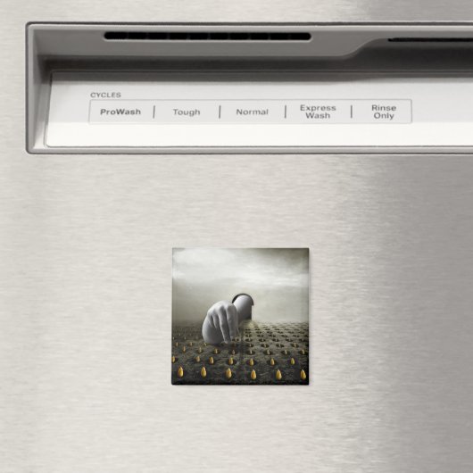 Aimant Tulip voleur 2013 (In Situ (Lave-vaisselle))