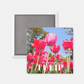 Aimant Tulipe (Recto/Verso)