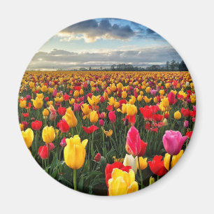 Aimant Tulipe