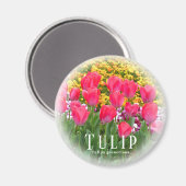 Aimant Tulipe (Recto/Verso)