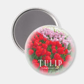 Aimant Tulipe (Recto/Verso)