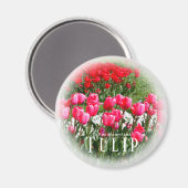 Aimant Tulipe (Recto/Verso)