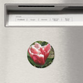 Aimant Tulipe à franges roses (In Situ (Lave-vaisselle))