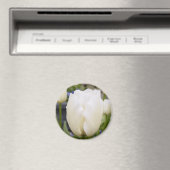 Aimant Tulipe blanche (In Situ (Lave-vaisselle))