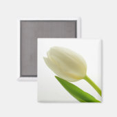 Aimant Tulipe blanche (Recto/Verso)