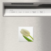 Aimant Tulipe blanche (In Situ (Lave-vaisselle))