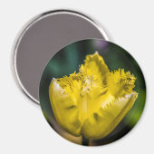 Aimant Tulipe jaune (Recto/Verso)