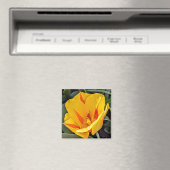 Aimant Tulipe jaune dans l'aimant en fleur (In Situ (Lave-vaisselle))