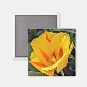 Aimant Tulipe Jaune en Fleur (Recto/Verso)
