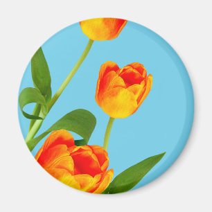 Aimant Tulipe orange