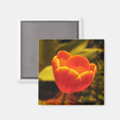 Aimant Tulipe orange (Recto/Verso)
