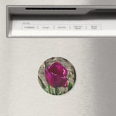 Aimant Tulipe pourpre (In Situ (Lave-vaisselle))