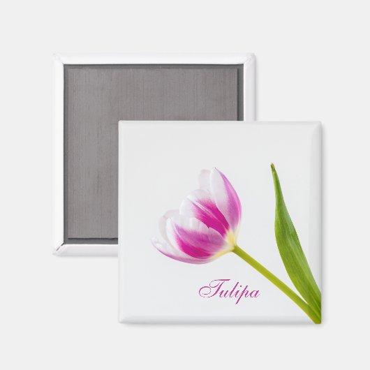 Aimant Tulipe rose (Recto/Verso)