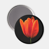 Aimant TulipeOrange (Recto/Verso)