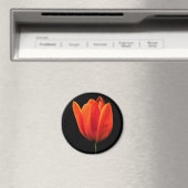 Aimant TulipeOrange (In Situ (Lave-vaisselle))