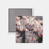 Aimant Tulipes (Recto/Verso)