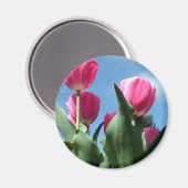 Aimant Tulipes (Recto/Verso)