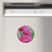 Aimant Tulipes à perroquets roses (In Situ (Lave-vaisselle))