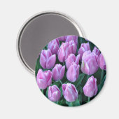 Aimant Tulipes à ressort pourpre (Recto/Verso)