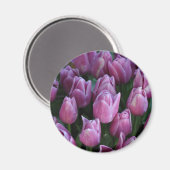 Aimant Tulipes à ressort pourpre (Recto/Verso)