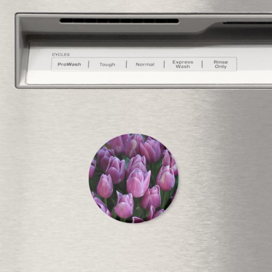 Aimant Tulipes à ressort pourpre (In Situ (Lave-vaisselle))