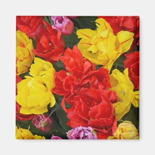 Aimant Tulipes à ressort rouge et jaune