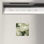 Aimant Tulipes blanches (In Situ (Lave-vaisselle))