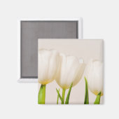 Aimant Tulipes blanches sur fond blanc, (Recto/Verso)